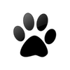 Captcha image 4090